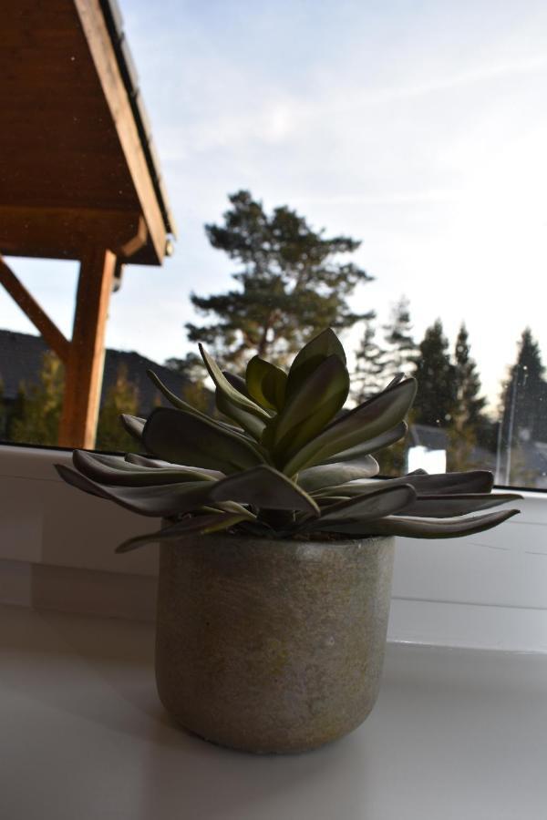 Villa Sunny House Lipno nad Vltavou Exterior foto